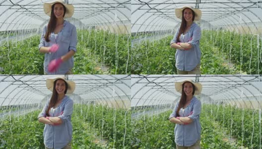 美丽的女孩戴着草帽，戴着粉色橡胶手套，微笑着，在一个温室里。概念:生物产品、天然产品、新鲜、美味、水果、蔬菜、种植、水、植物。高清在线视频素材下载