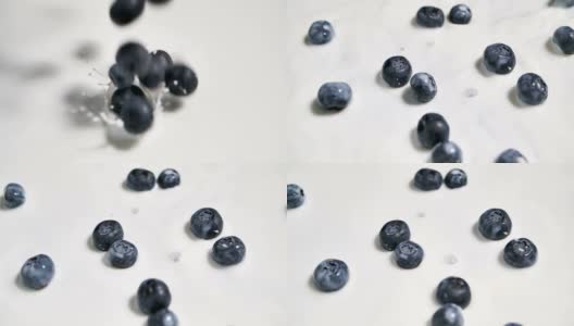 蓝莓葡萄落在牛奶表面的SLO MO镜头。高清在线视频素材下载