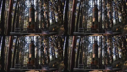台湾森林老雕塑HD 47高清在线视频素材下载