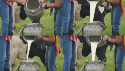 牛奶新鲜。特写镜头。在绿色的草地上，两名女农民正在往牛奶罐里倒新鲜牛奶，背景是一头奶牛。挤奶。奶牛场。乳制品。农业高清在线视频素材下载