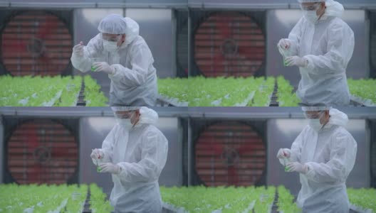 科学家在温室农场检查和测试用于喂养植物蔬菜的水化学物质。高科技有机农场。未来粮食的农业。用水培法种植的莴苣。高清在线视频素材下载
