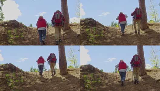 用登山杖徒步的活跃的老年人高清在线视频素材下载