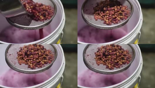 比格奈果酒加工汁用筛子过滤分离果肉高清在线视频素材下载