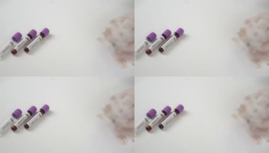 科学家们用注射器测试小白鼠。科学家和实验鼠背景。Coronavrius试管。冠状病毒疫苗。高清在线视频素材下载