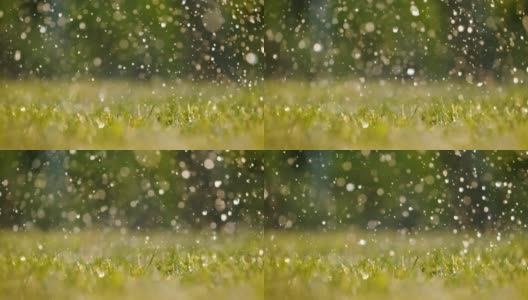 雨落在新鲜的绿草地上高清在线视频素材下载