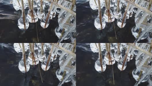 芬兰，当湖面开始结冰时，植物被冰覆盖高清在线视频素材下载