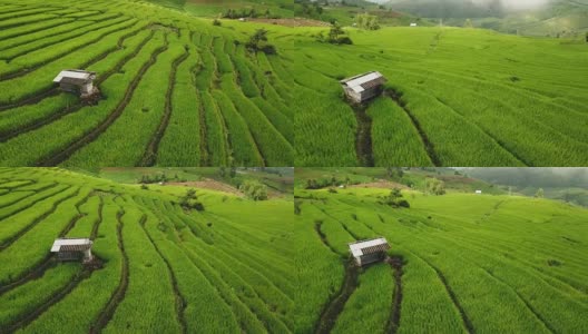 泰国北部的稻田俯视图高清在线视频素材下载