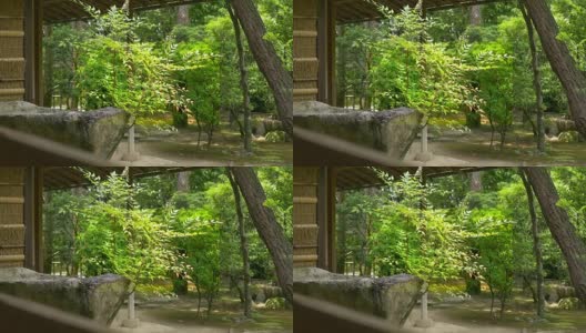 日式花园和复古风格的日式房子高清在线视频素材下载