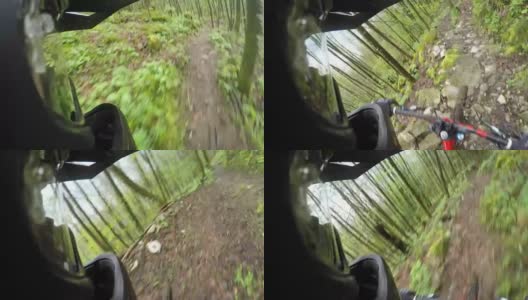 POV头盔mount山地车骑通过森林小径高清在线视频素材下载