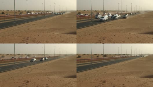 骆驼赛跑,阿联酋高清在线视频素材下载