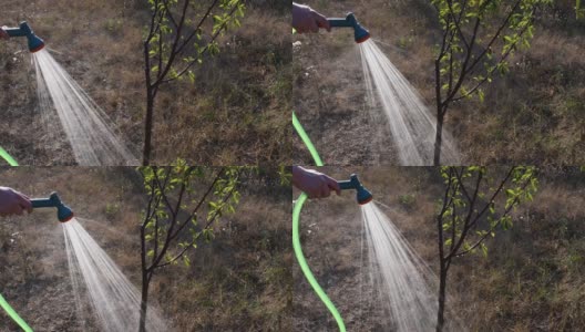 男子手持绿色花园软管，用洒水喷头浇灌花园小树干高清在线视频素材下载
