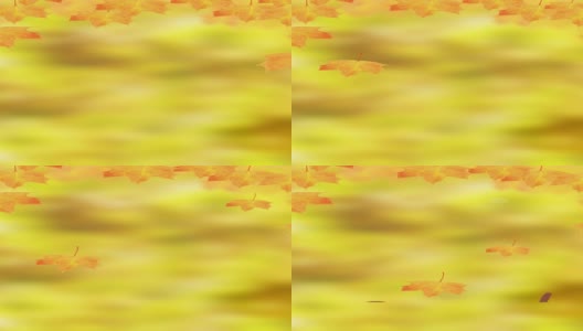 秋天的落叶，秋天的枫叶和文字你好十月上一个自然的背景高清在线视频素材下载