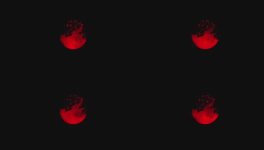 树叶后面的血红月亮可怕的场景高清在线视频素材下载