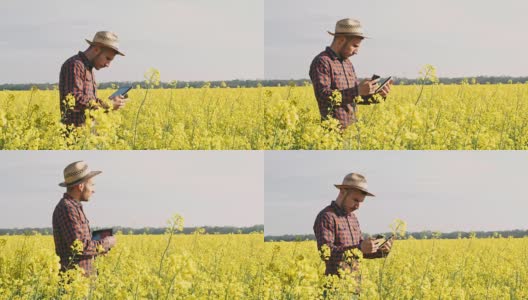 男农民拿着数码平板电脑和智能手机，在阳光明媚、田园诗般的黄色菜籽田里，实时地劳作高清在线视频素材下载