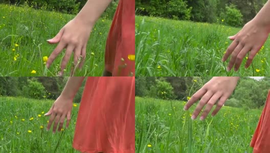 少妇手牵着手跑过绿油油的野地，触摸野花的特写。高清视频镜头拍摄在实时主观相机与稳定器。1080便士高清在线视频素材下载