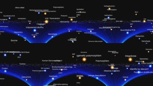 基因组学方面高清在线视频素材下载