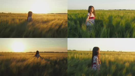 麦田里的孩子高清在线视频素材下载