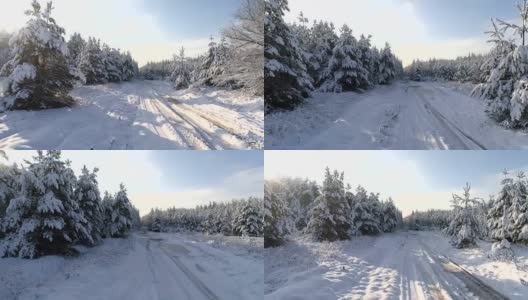 航拍冬雪针叶林的圣诞森林高清在线视频素材下载