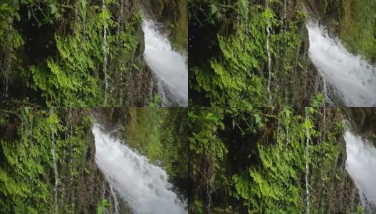 绿色瀑布高清在线视频素材下载