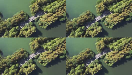 鸟瞰图的道路通过湖泊和树木区域高清在线视频素材下载