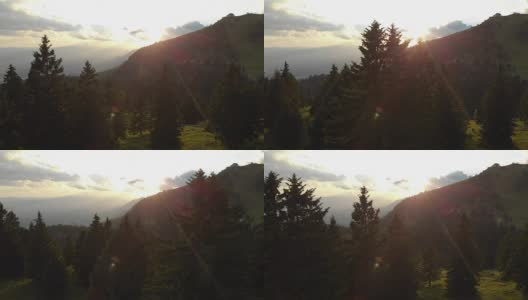 天线:金色的夕阳照射在斯洛文尼亚山上高大的云杉上。高清在线视频素材下载