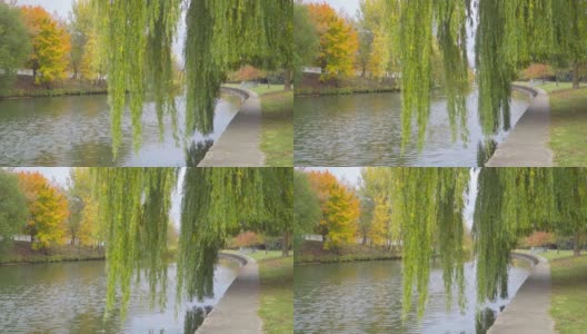 秋天的风景。柳树的枝头越过水面高清在线视频素材下载