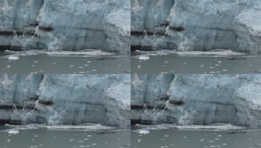 阿拉斯加的马杰丽冰川上的冰在海湾水域坠落。高清在线视频素材下载