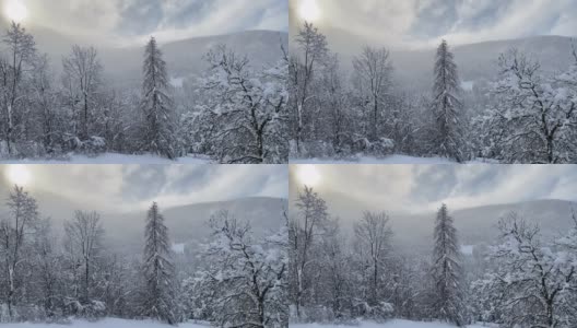 日出越过白雪覆盖的高山和树木高清在线视频素材下载