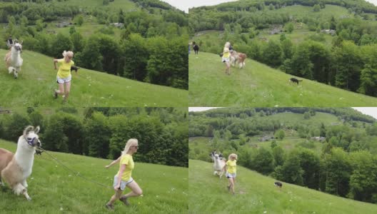 在科米诺山上骑着羊驼的女人高清在线视频素材下载
