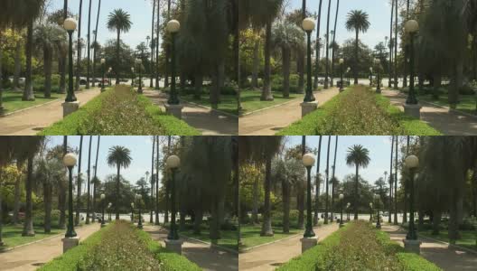 (HD1080i)公园花园路口高清在线视频素材下载
