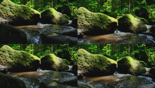 HD起重机:森林中的岩石溪高清在线视频素材下载