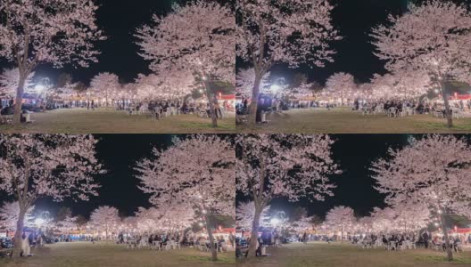 4k:人们在欣赏发光的樱花高清在线视频素材下载