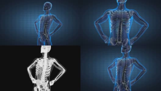 人体摄影扫描高清在线视频素材下载