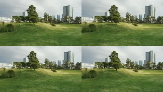 pine trees at hamarikyu gardens park in tokyo高清在线视频素材下载