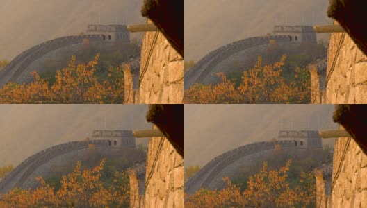 近距离观察:美丽的秋色森林环绕着金色的中国长城高清在线视频素材下载