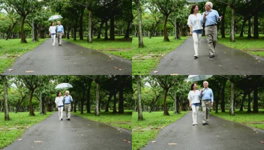 一对老夫妇在雨季在公园散步高清在线视频素材下载