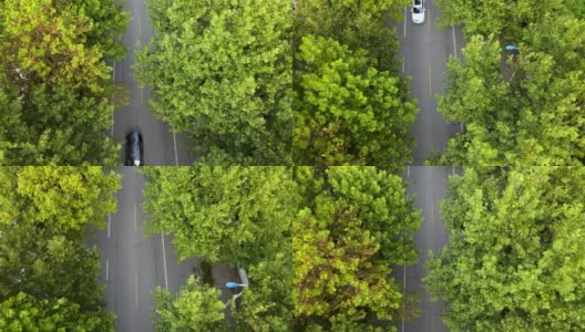 鸟瞰图树木和道路在城市的交通和汽车在街道上移动。高清在线视频素材下载