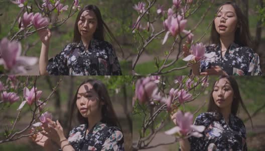 年轻的亚洲女子穿着和服慢动作走在樱花花园触摸树枝上的粉红色花朵。在阳光明媚的户外公园里，美丽迷人的女士欣赏大自然的美景。高清在线视频素材下载