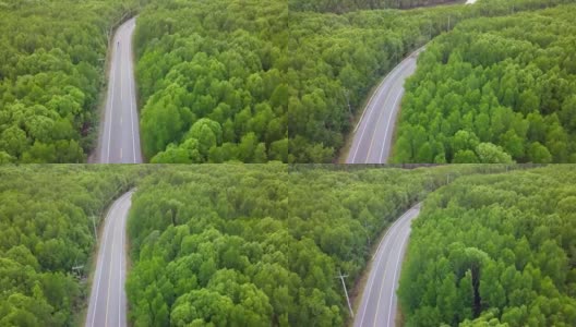 鸟瞰图的当地公路旅行与常青树在泰国高清在线视频素材下载