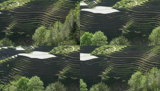 中国桂林龙胜的龙脊梯田高清在线视频素材下载