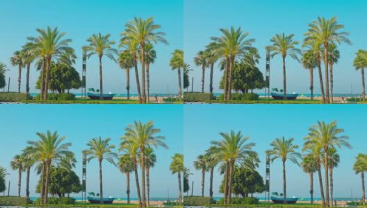 欧洲，西班牙，萨劳夏日沙滩上的棕榈树高清在线视频素材下载
