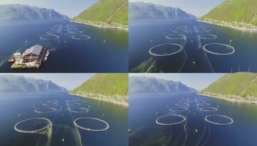 挪威渔场录像。碧海青山绿水。空中射击。前视图。高清在线视频素材下载