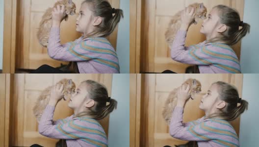 小女孩在屋里和小猫玩高清在线视频素材下载