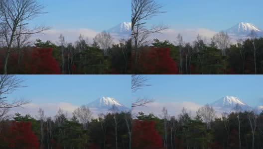 美丽的富士山与枫树在秋天的日本高清在线视频素材下载