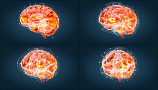 大脑x射线，人体解剖学，3D动画神经元高清在线视频素材下载