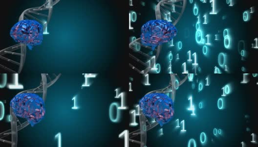 旋转的DNA和被二进制代码包围的大脑高清在线视频素材下载