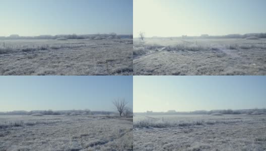 远处草木结了冰的田野被霜和雪覆盖着，在霜冻的清晨被太阳照亮。空气中有霜冻的薄雾。高清在线视频素材下载