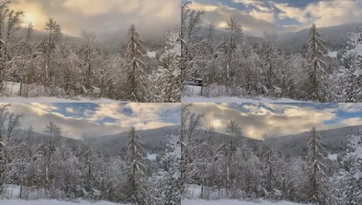 快速的日出在白雪皑皑的风景中，云雾奔跑，树木被雪覆盖高清在线视频素材下载