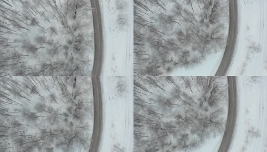 一场暴风雪后的冬季北方天然森林的4K航拍视频高清在线视频素材下载