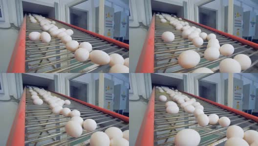 鸡蛋从金属网格传送带上落下高清在线视频素材下载